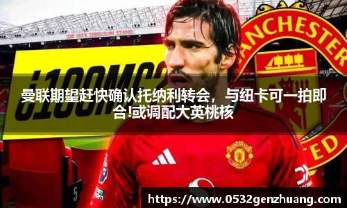 曼联期望赶快确认托纳利转会，与纽卡可一拍即合!或调配大英桃核